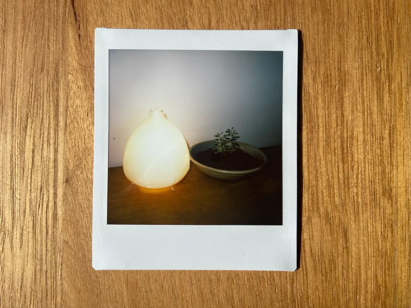 Paper lamp and plants at Slow City