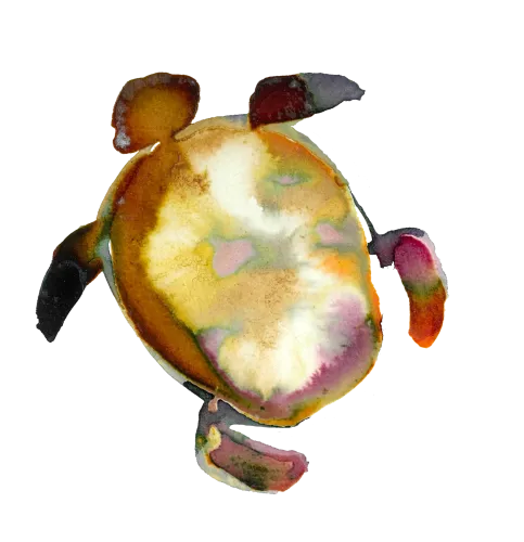 Slow City turtle logo